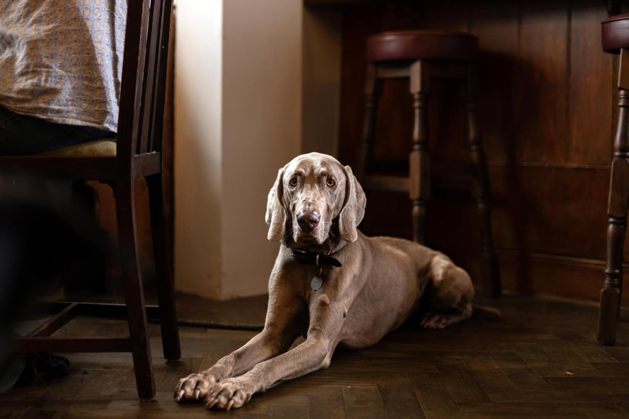 The Lamb Inn Hindon Eksteriør bilde